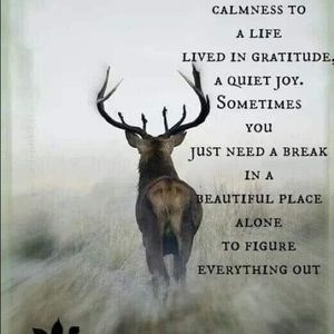 Meet your Posher, Robert b